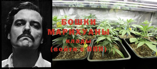 стаф Янаул