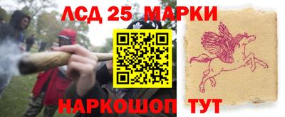 прущие грибы Канаш